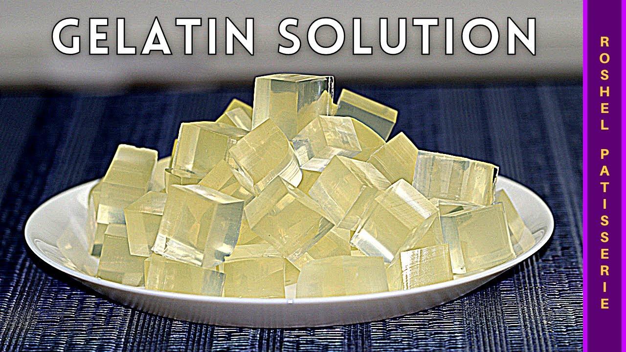 Horse Gelatin Trick: Everything The Internet Is Talking About
