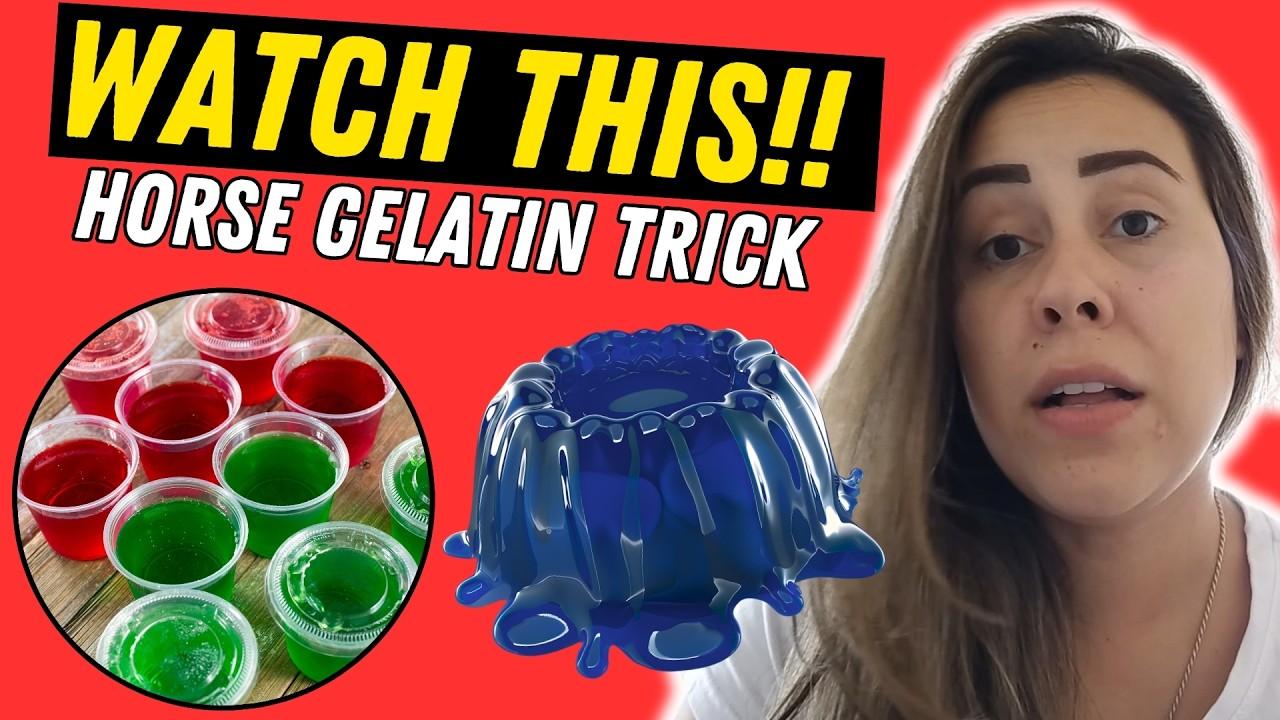 Horse Gelatin Trick: Benefits, Risks & Everything You Should Know