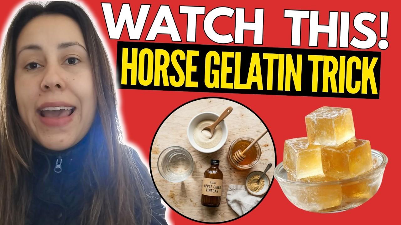 Horse Trick For Men Reddit: Popular Posts Reviewed