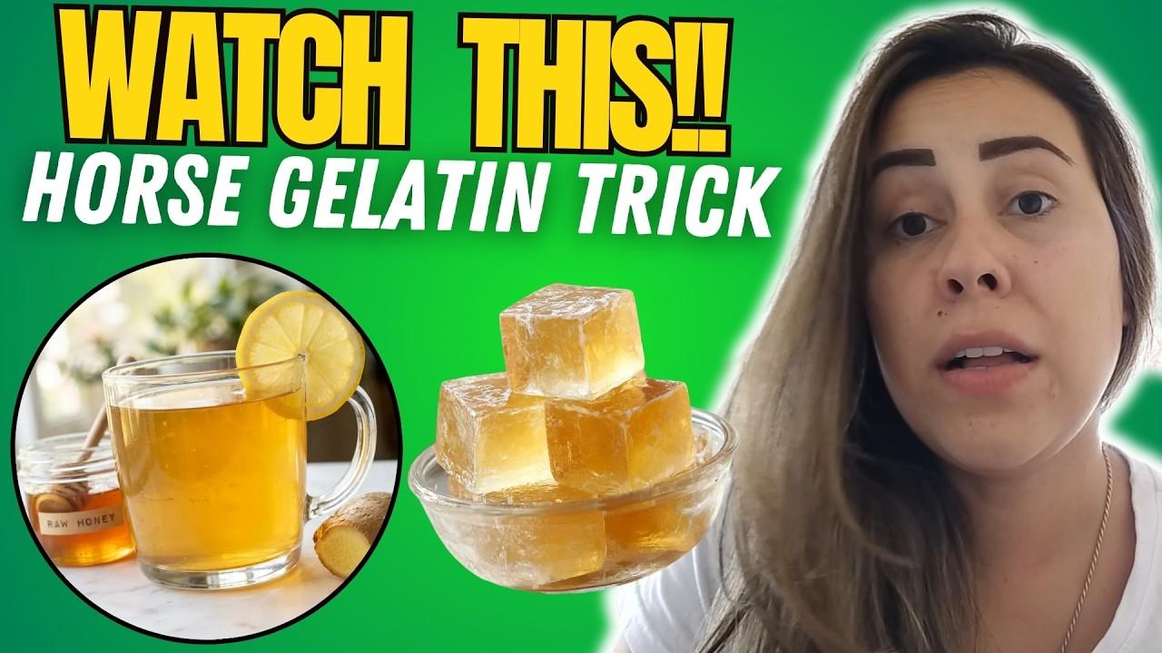 Horse Gelatin Trick Video: Viral Trend Explained Step By Step