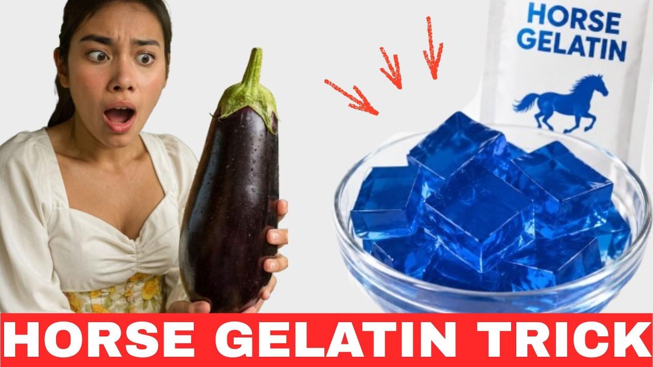 Horse Gelatin Recipe For Men: The Complete Beginner’s Tutorial