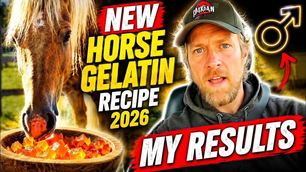 Horse Trick For Men Recipe: Viral Method Explained Step By Step