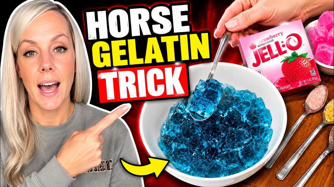 Horse Gelatin For Men Recipe: Complete Step-By-Step Instructions